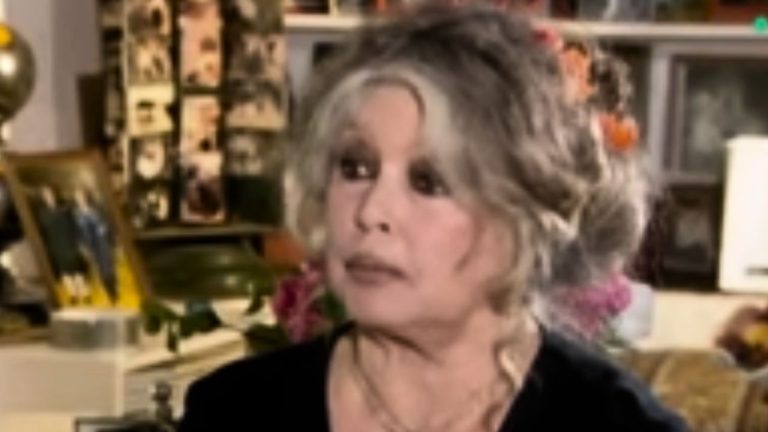 brigitte bardot