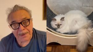 Nino Frassica cerca il suo gatto Hiro: “Aumentiamo la ricompensa a 10mila euro”