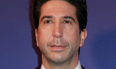 David Schwimmer