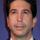 David Schwimmer