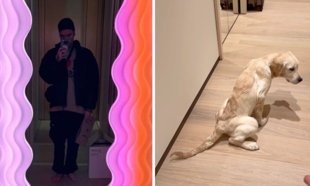Fedez, Paloma battezza la nuova casa: pipì sul parquet, la reazione