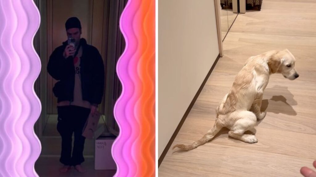 fedez paloma casa