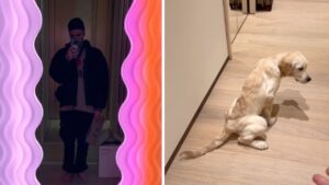 Fedez, Paloma battezza la nuova casa: pipì sul parquet, la reazione