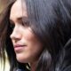 meghan markle razzismo