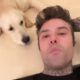 Fedez