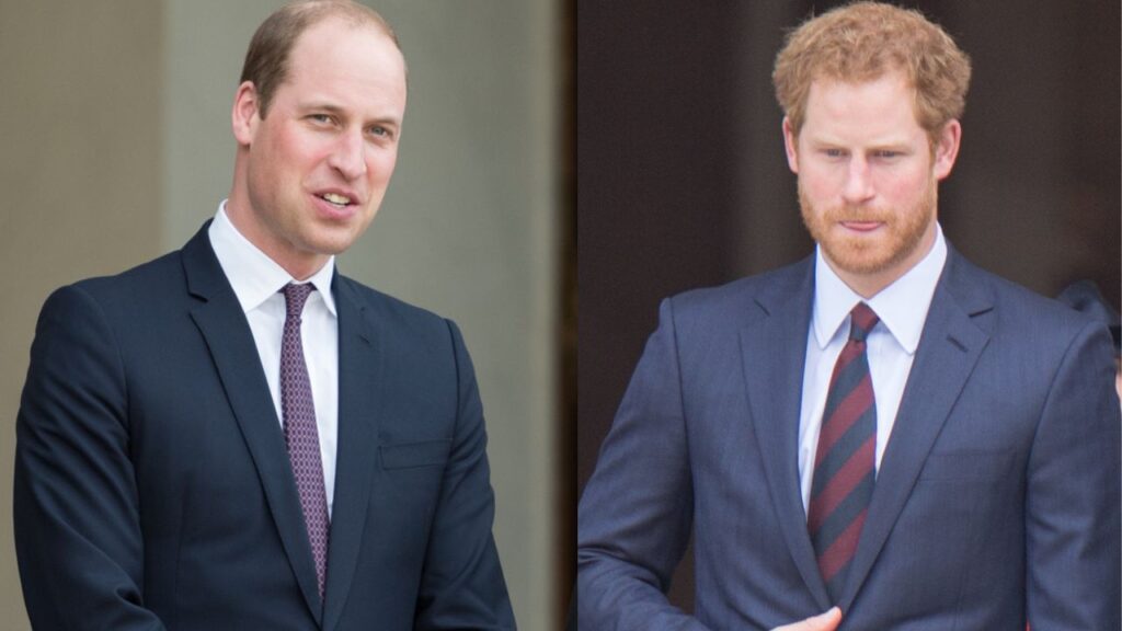 william harry rapporto