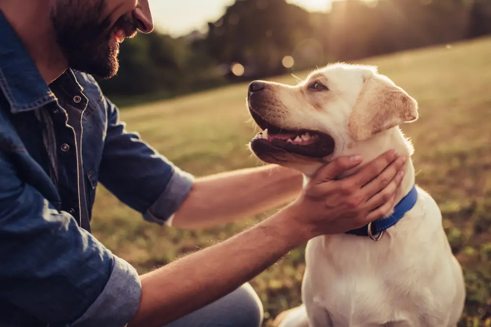 storie di cani eroi