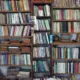 biblioteca di libri recuperati dalla spazzatura