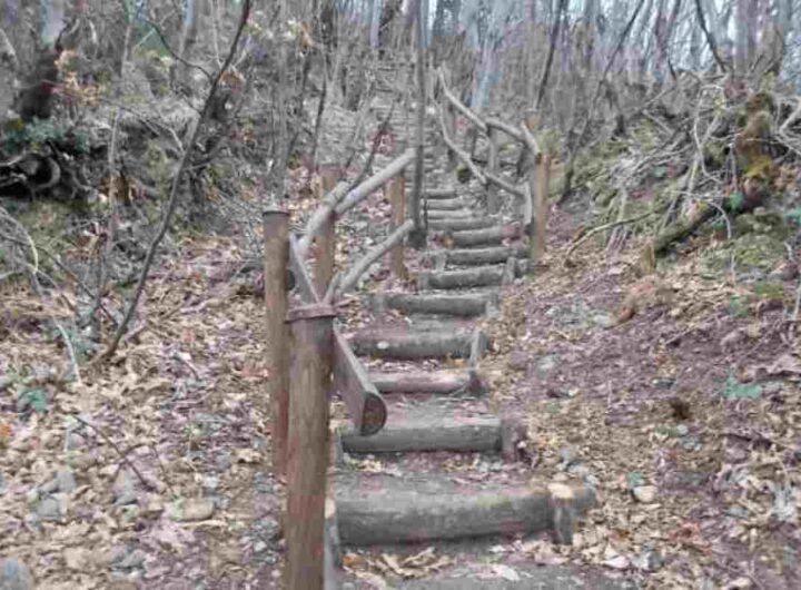 Scala del Paradiso