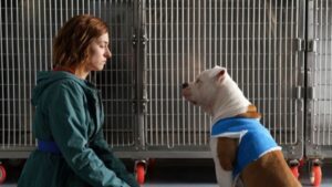 🥇 Ascolti TV di Lunedì 13 Ottobre 2025: “Blanca” vs “Grande Fratello”