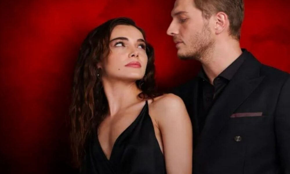 🏆 Ascolti Tv di Domenica 23 Novembre 2025
