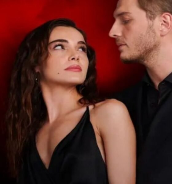 ascolti tv di domenica 23 novembre 2025