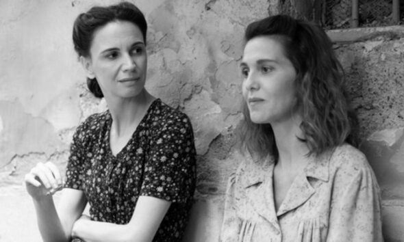 ascolti tv di martedì 25 novembre 2025