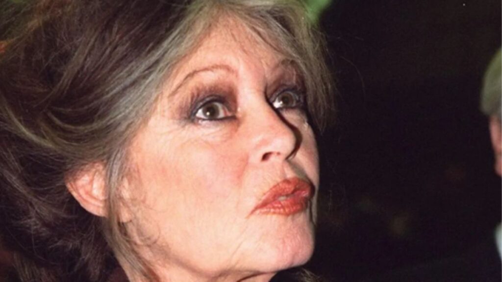 🏥 Brigitte Bardot Nuovamente Ricoverata a Tolone 47 brigitte bardot 1