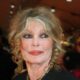brigitte bardot