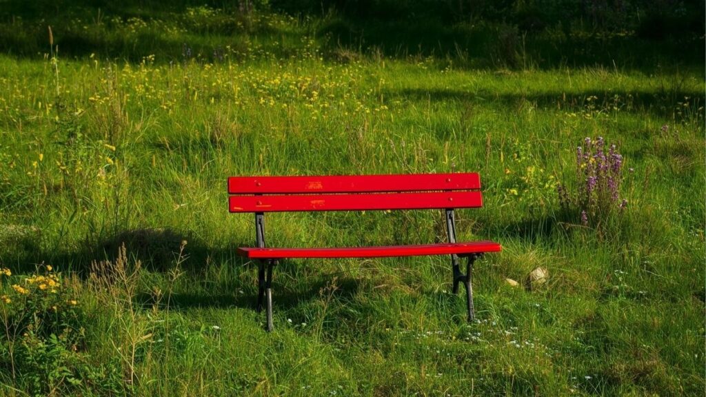 Giornata Mondiale contro la Violenza sulle Donne: perché il 25 novembre è fondamentale 42 giornata mondiale contro la violenza sulle donne 1