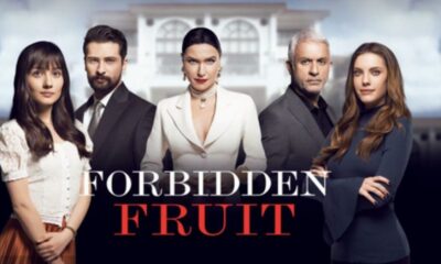 ascolti tv di mercoledì 10 dicembre 2025