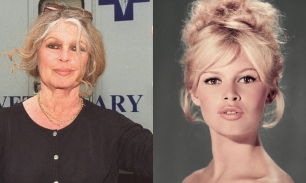 Brigitte Bardot, l’eredità da 65 milioni: al figlio Nicolas metà del patrimonio per legge