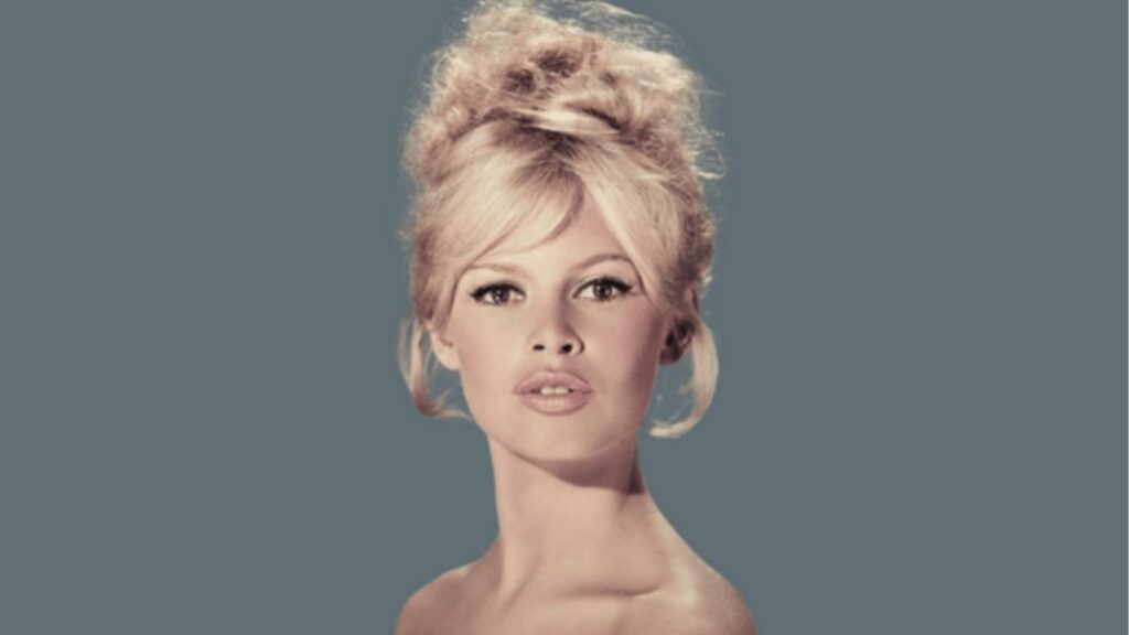 Addio Brigitte Bardot: simbolo del cinema e della femminilità, aveva 91 anni 47 brigitte bardot