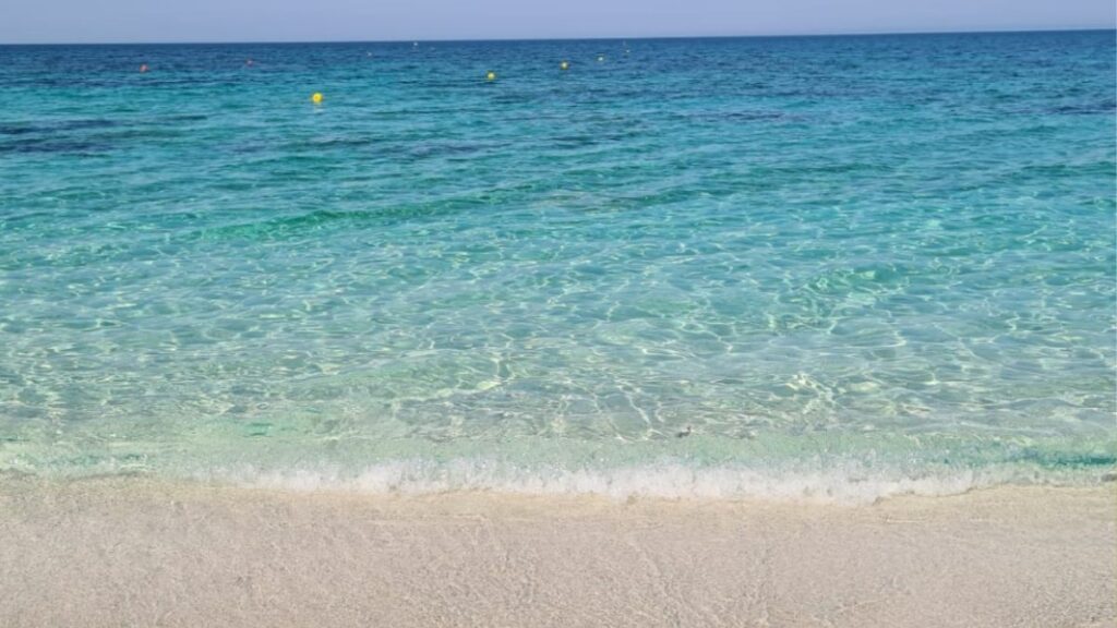 La sonnambula di Bianca Pitzorno: La vita ha sempre sorprese per chi non si lega al passato 47 La sonnambula di Bianca Pitzorno sardegna