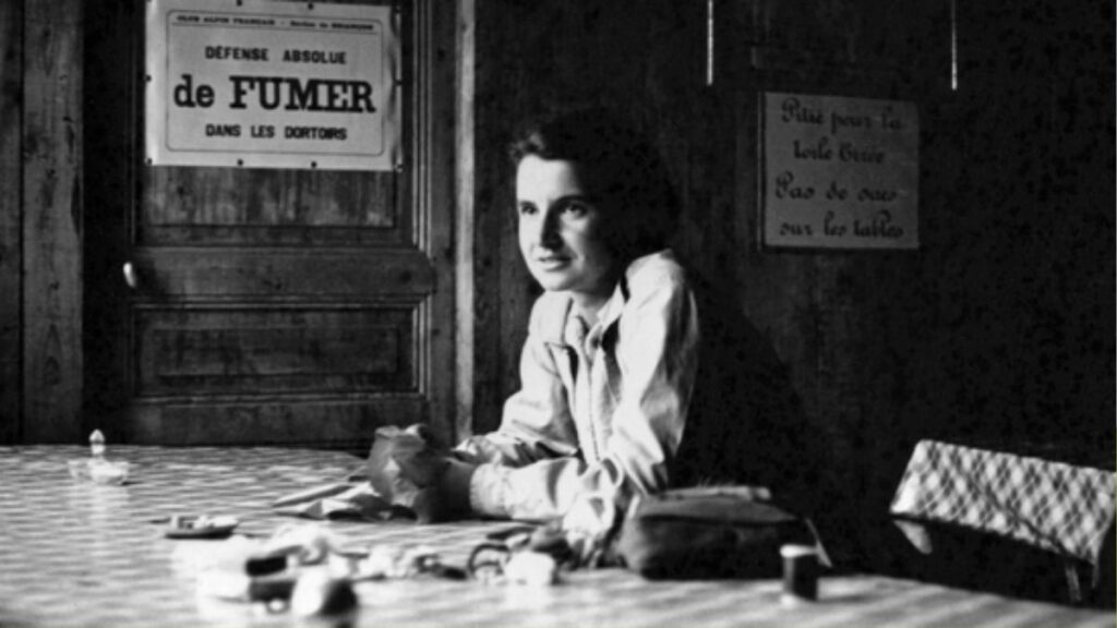 Rosalind Franklin: la scienziata che ha cambiato la storia del DNA e il suo ruolo nella scoperta della doppia elica 53 Rosalind Franklin dna