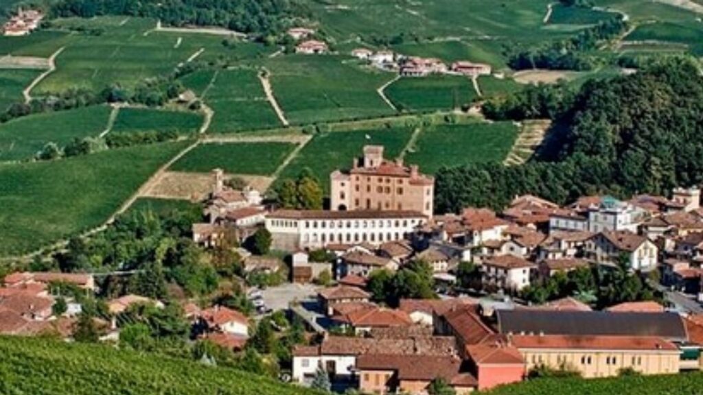 Sangue delle Langhe di Marina Marazza: il romanzo storico sul Barolo e su una donna rivoluzionaria 53 barolo