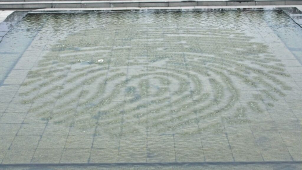 Reggia di Venaria Reale: Guida Completa al Capolavoro Barocco UNESCO 59 giardino delle sculture fluide reggia di venaria