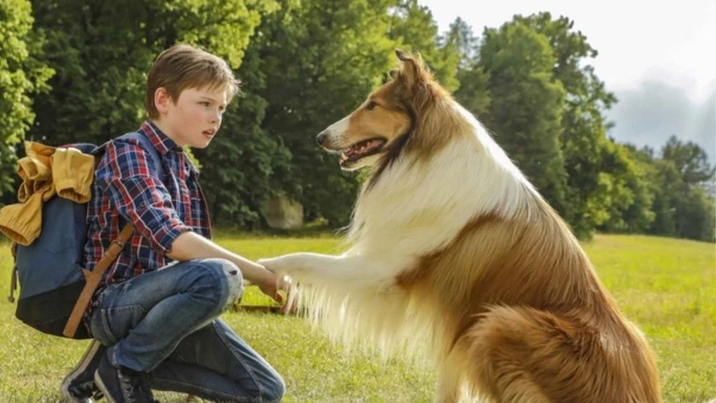 Ascolti TV di martedì 25 agosto 2026: Nata per te vince la serata, La Ruota della Fortuna vola 2 lassie torna a casa